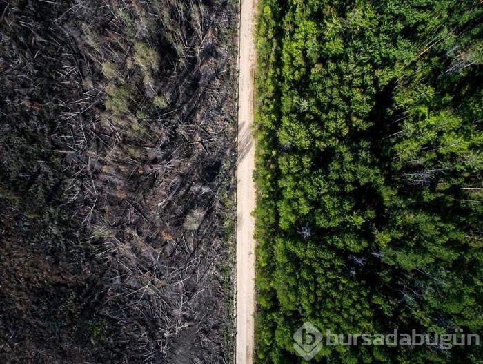 Doğadan büyüleyici güzellikte fotoğraflar