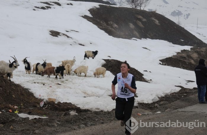 Hakkari'de koşu yaparken bayıldılar!