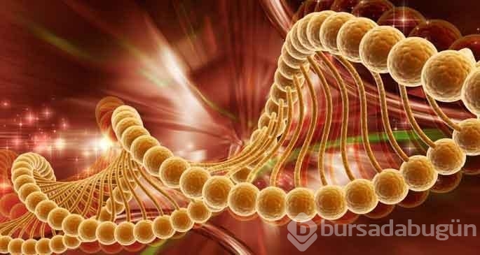 Rusların uzayda test ettiği kanser ilacı umut vadediyor