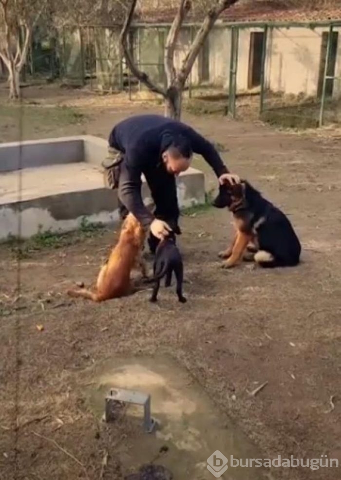 Ünlü şarkıcı da şehir hayatından kaçıp köyde yaşamaya başladı