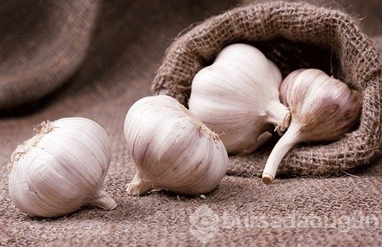 Sarımsak bal mucizesi... Faydası sizi çok şaşırtacak!