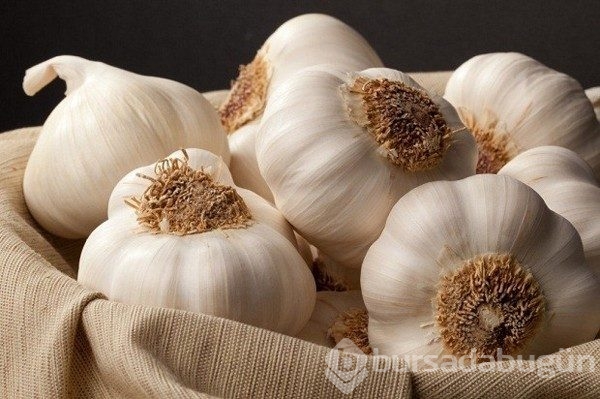 Sarımsak bal mucizesi... Faydası sizi çok şaşırtacak!