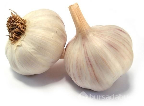 Sarımsak bal mucizesi... Faydası sizi çok şaşırtacak!