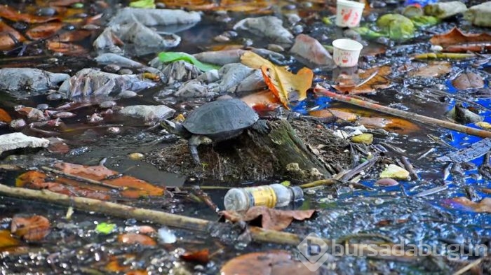 Her yıl 1.7 milyon çocuk çevre kirliliği yüzünden ölüyor