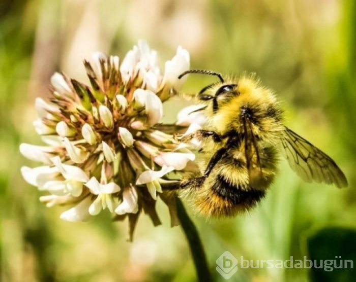 Genç fotoğrafçılardan 7 nefis fotoğraf
