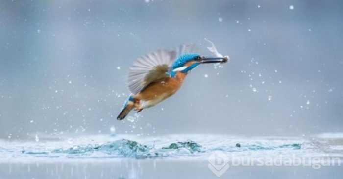 Genç fotoğrafçılardan 7 nefis fotoğraf