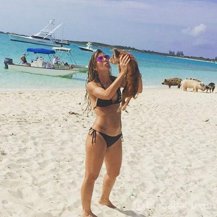 Meşhur Bahama domuzlarını turistler mi öldürüyor?
