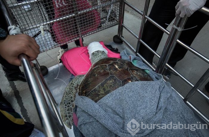 Midesinden 915 adet bozuk para çıktı