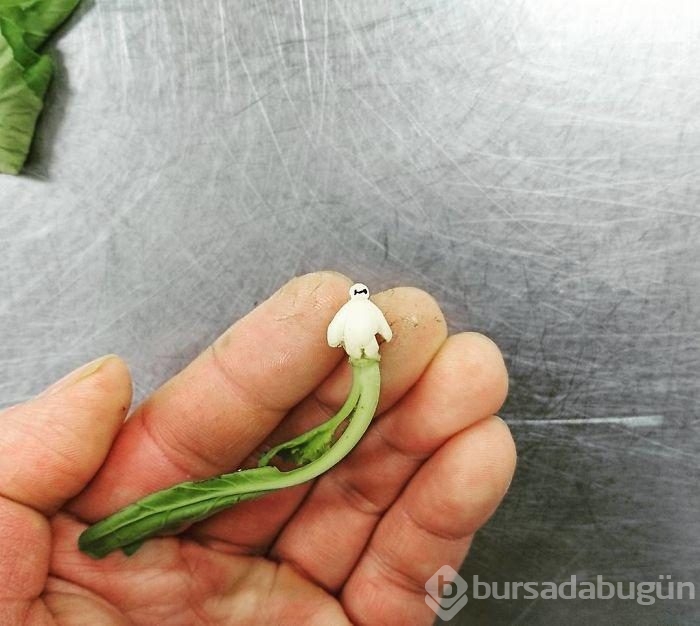 Meyve sebze soyma sanatı görenleri büyülüyor!