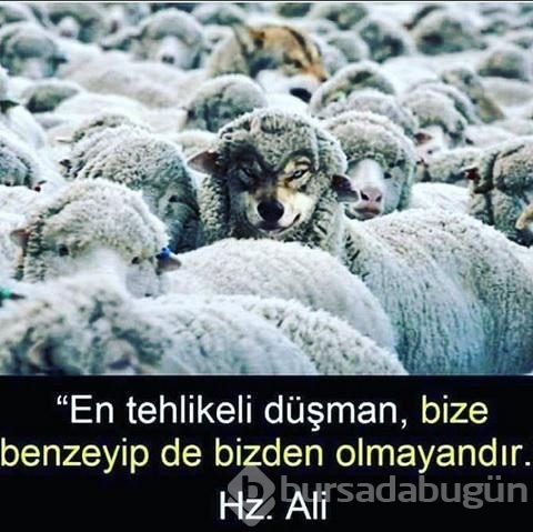 Instagram'da ünlüler 07.03.2017