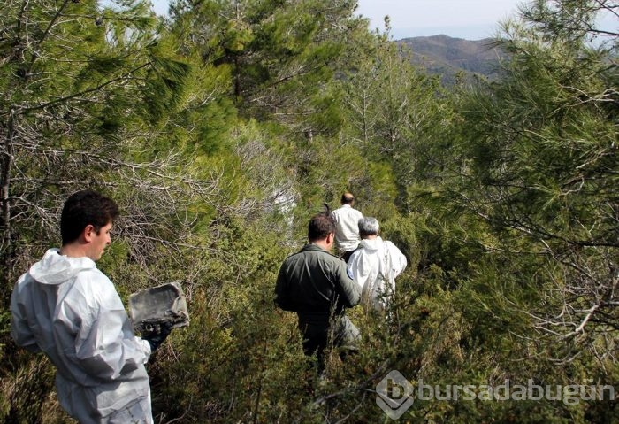 Hatay'a düşen Suriye uçağının karakutusu bulundu