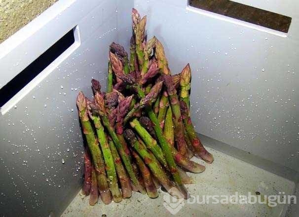 ODTÜ'lü Aslı, kariyerini bırakıp kuşkonmaz üreticisi oldu