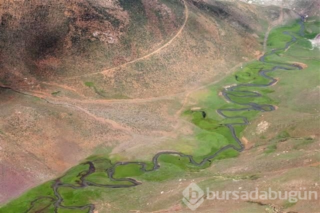 Havadan Hakkari