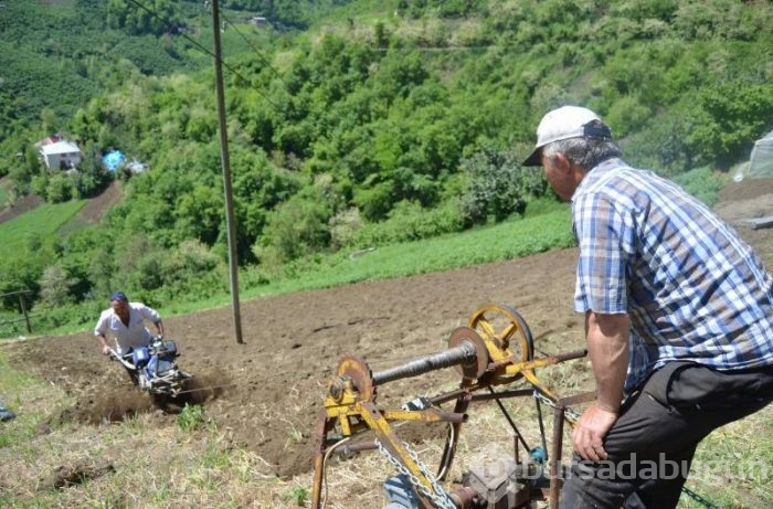 Yüzde 70 eğimli arazide tarım yaptılar