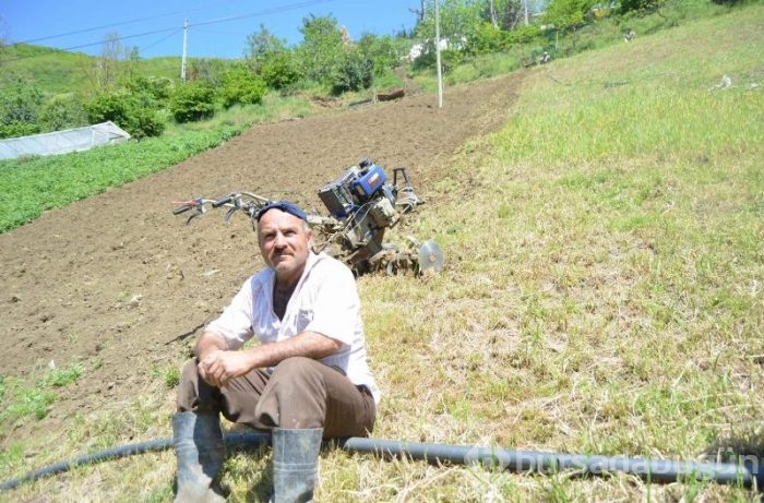 Yüzde 70 eğimli arazide tarım yaptılar