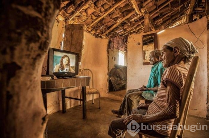 Smithsonian fotoğraf ödüllerinin finale çıkan fotoğrafları	