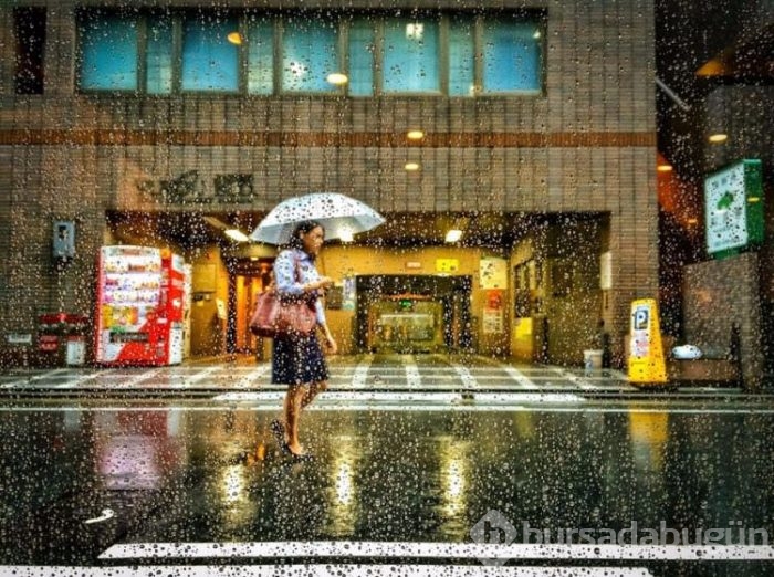 Smithsonian fotoğraf ödüllerinin finale çıkan fotoğrafları	