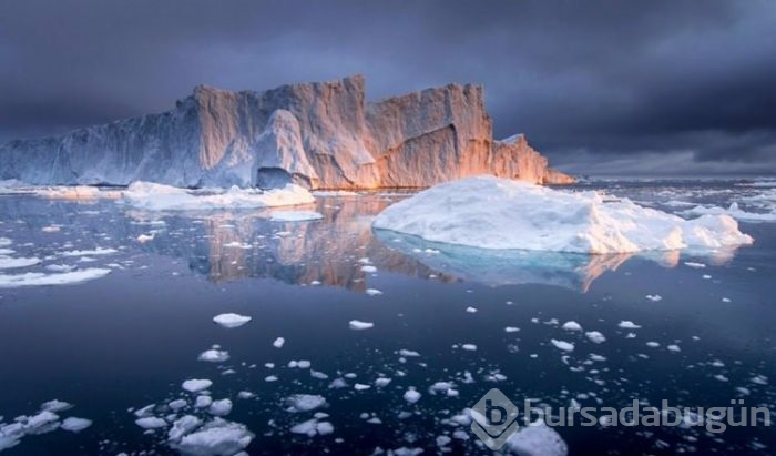 Smithsonian fotoğraf ödüllerinin finale çıkan fotoğrafları	