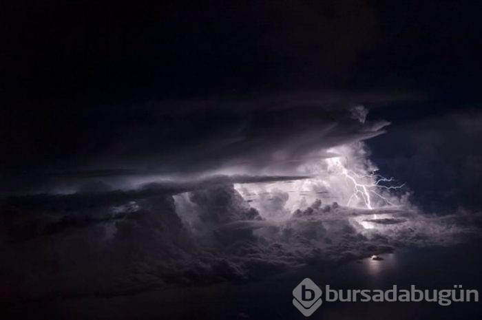 Smithsonian fotoğraf ödüllerinin finale çıkan fotoğrafları	
