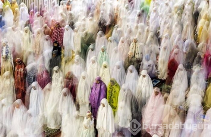 Smithsonian fotoğraf ödüllerinin finale çıkan fotoğrafları	