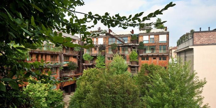 Şehrin ortasında 'ağaç apartman'