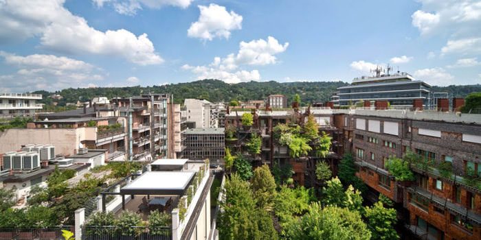 Şehrin ortasında 'ağaç apartman'