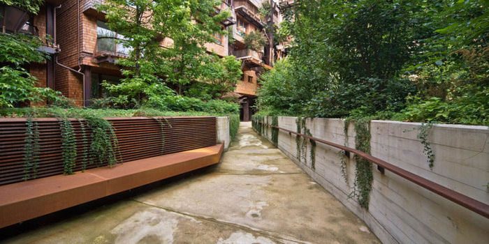Şehrin ortasında 'ağaç apartman'