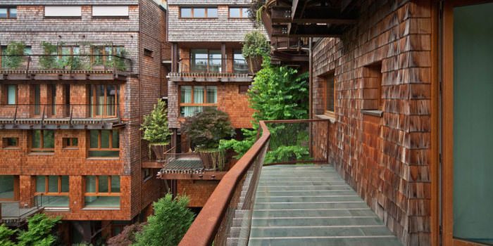 Şehrin ortasında 'ağaç apartman'