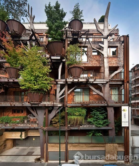 Şehrin ortasında 'ağaç apartman'