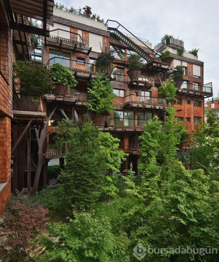 Şehrin ortasında 'ağaç apartman'