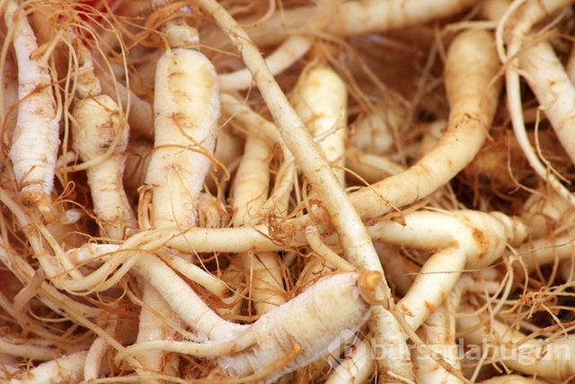 Sperm kalitesini artıran 10 besin