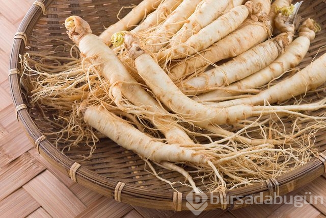 Sperm kalitesini artıran 10 besin