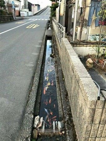 Japonya'ya hayran olmak için 16 sebep 