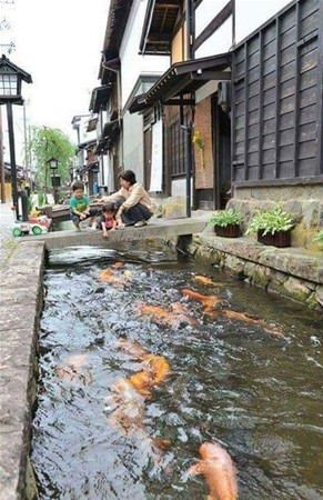 Japonya'ya hayran olmak için 16 sebep 