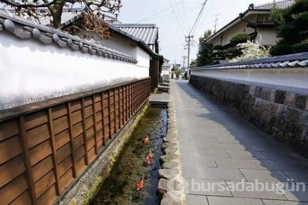 Japonya'ya hayran olmak için 16 sebep 