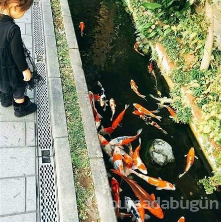 Japonya'ya hayran olmak için 16 sebep 