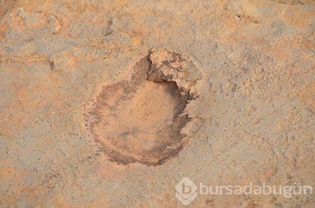 Tunus'ta dinozorların ayak izleri bulundu 