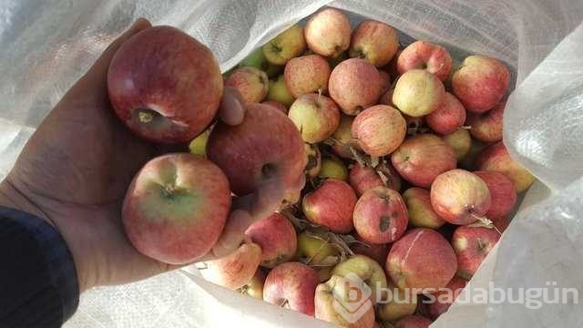 İşte besinlerin mucizevi faydaları