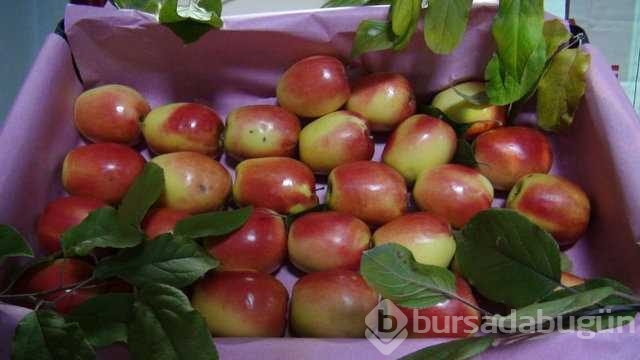 İşte besinlerin mucizevi faydaları