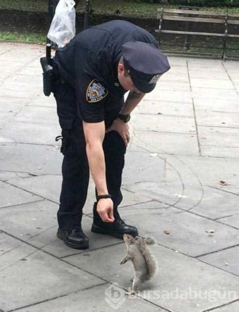 Sosyal medyanın fenomen polisleri