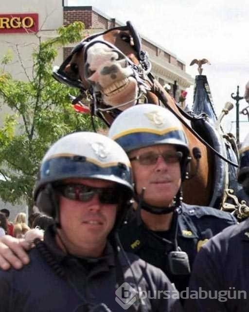 Sosyal medyanın fenomen polisleri