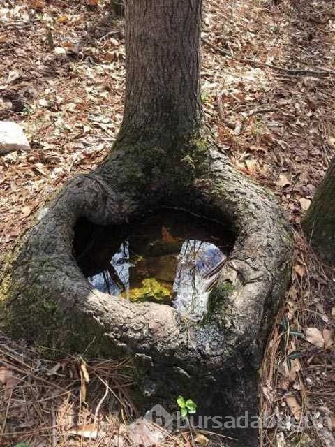 Günün en çok paylaşılan fotoğrafları