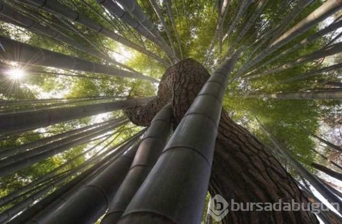 Günün en çok paylaşılan fotoğrafları