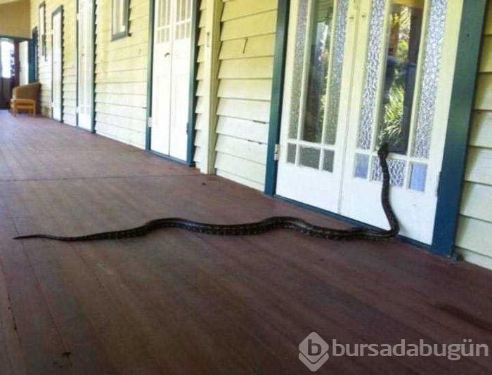 Günün en çok paylaşılan fotoğrafları