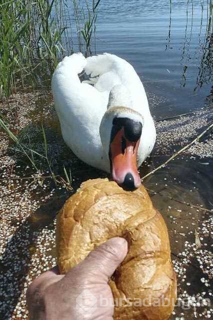 Günün en çok paylaşılan fotoğrafları