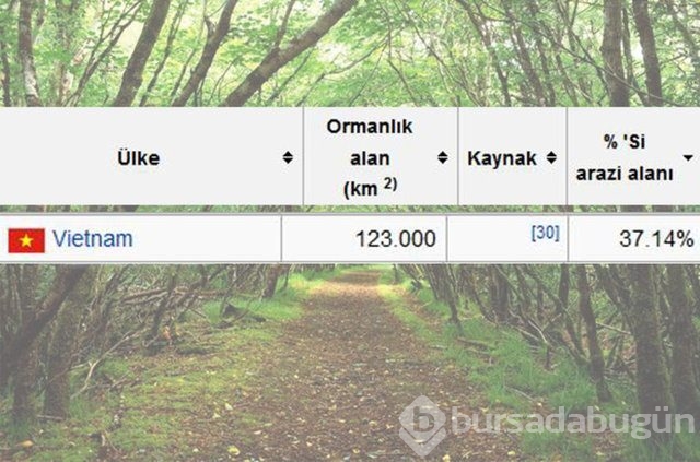 Dünyada en çok ağaç hangi ülkede?