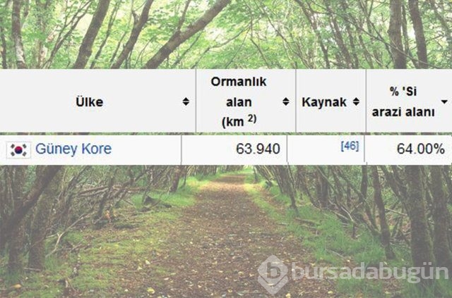 Dünyada en çok ağaç hangi ülkede?