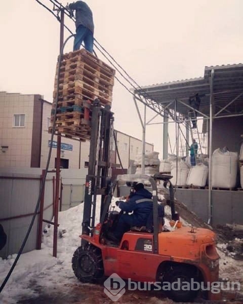 Güvenlik onların hayatında son sırada