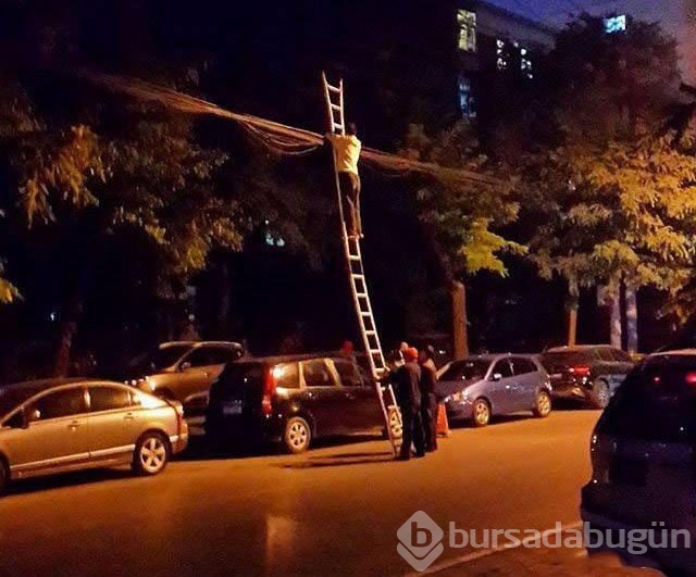 Güvenlik onların hayatında son sırada
