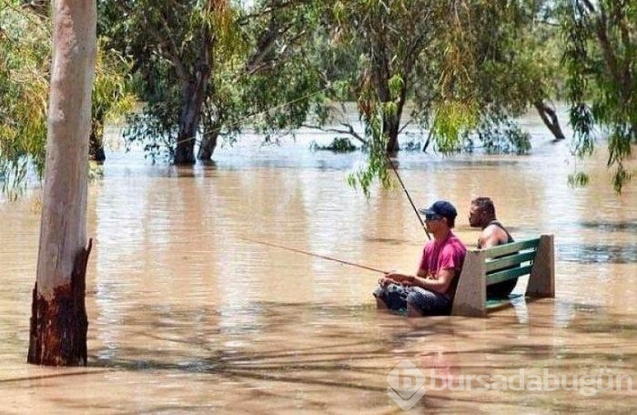 Güvenlik onların hayatında son sırada